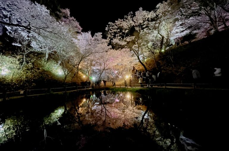 高遠城址公園
