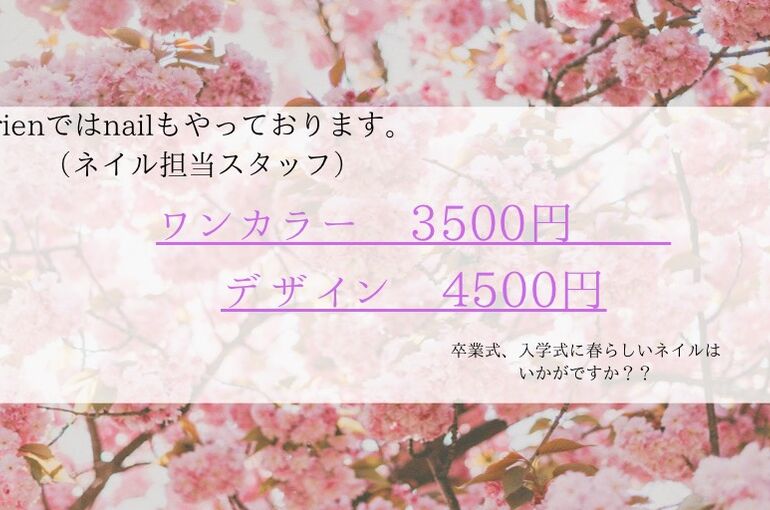ネイルの料金表